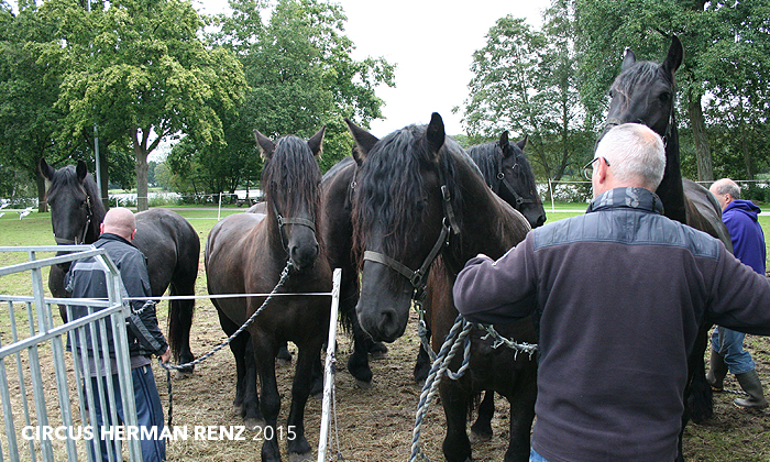 Circus Herman Renz omroep Brabant
