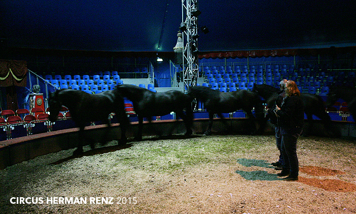 Omroep Brabant Circus Herman Renz