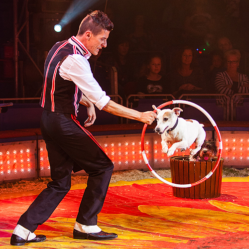 Circus Herman Renz