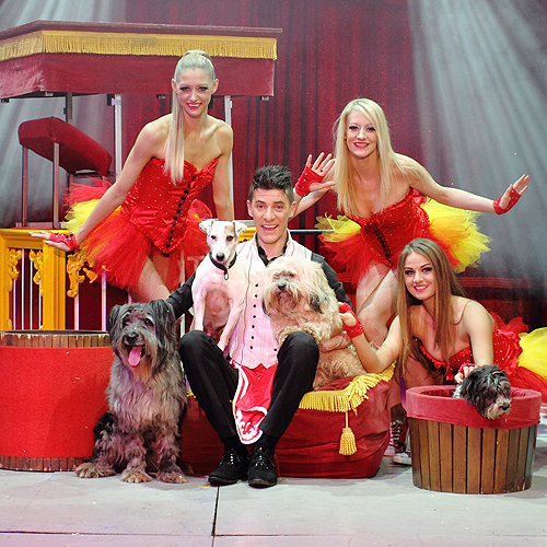Pat Clarrison's Comedy Dogs