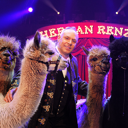 Michel Jarz, paarden en alpaca's