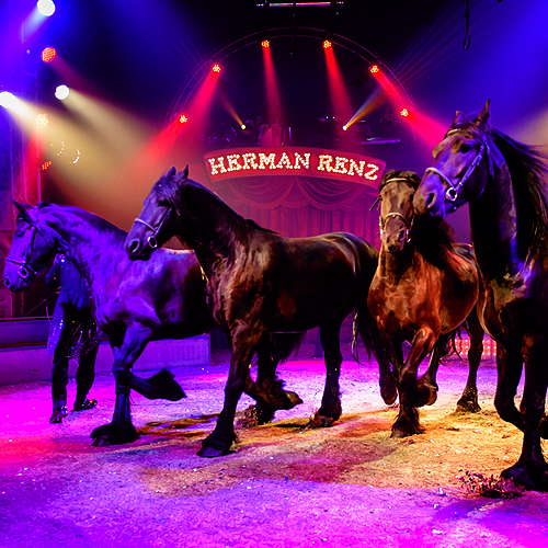 Friese paarden, Circus Herman Renz