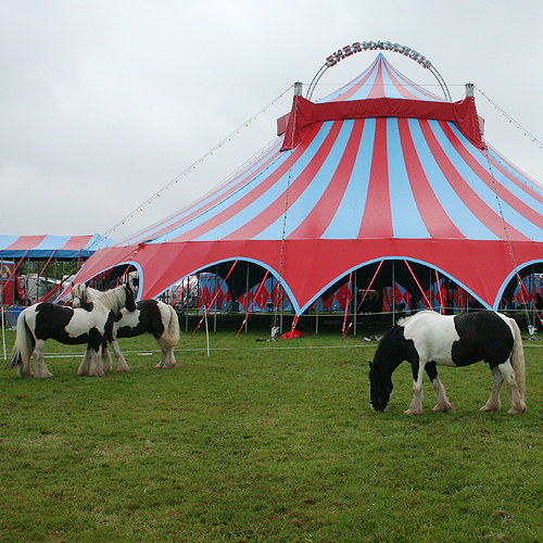 Circusdieren