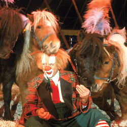 Bassie met pony's